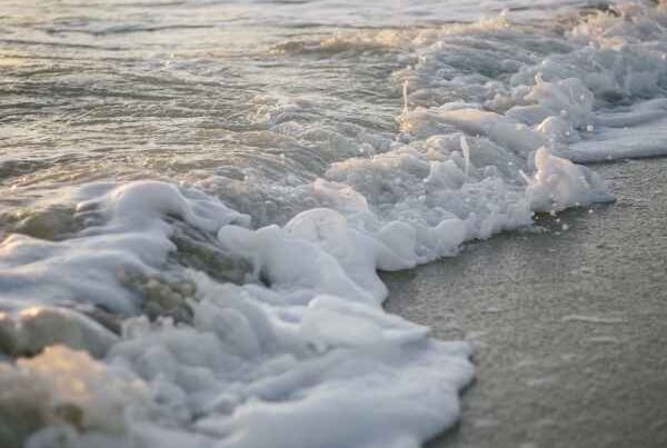 Feriados noviembre 2025: fechas, planificación y cobertura