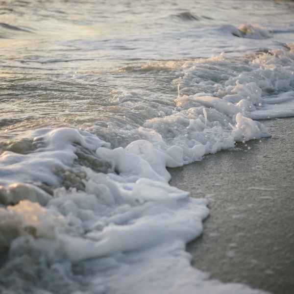 Feriados noviembre 2025: fechas, planificación y cobertura